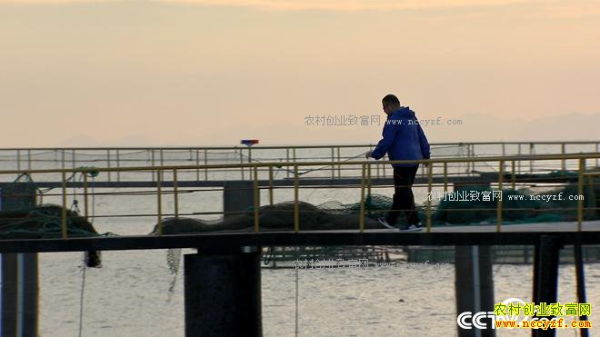 ���첻ֵǮ ����һ��ֵ����