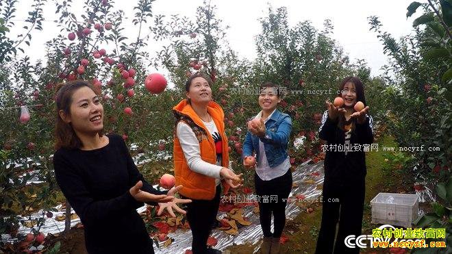 �Ķ���û�����ɽ ����2500�������