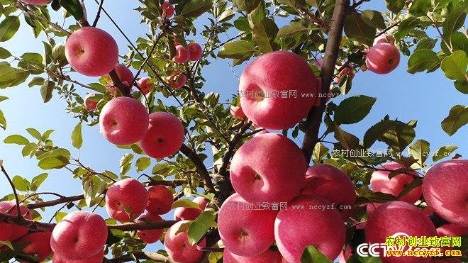 �Ķ���û�����ɽ ����2500�������