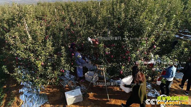 �Ķ���û�����ɽ ����2500�������