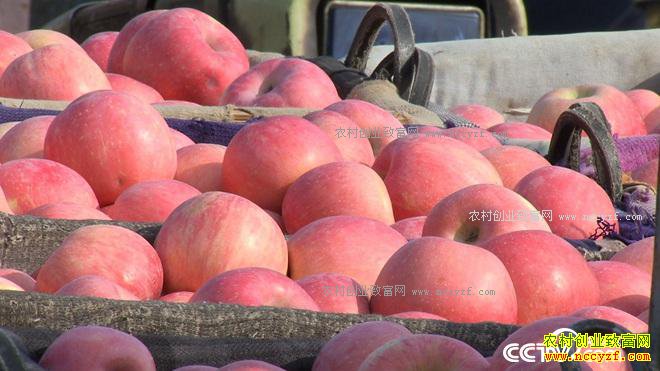 �Ķ���û�����ɽ ����2500�������