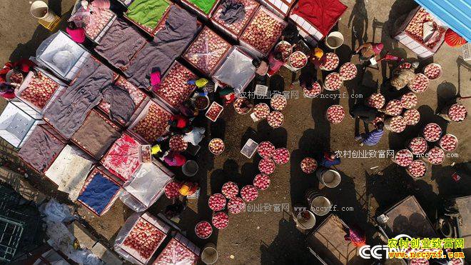 �Ķ���û�����ɽ ����2500�������