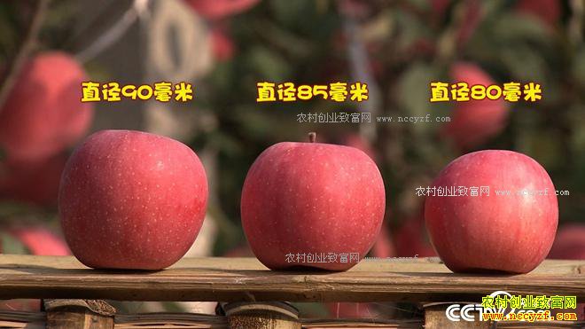 �Ķ���û�����ɽ ����2500�������