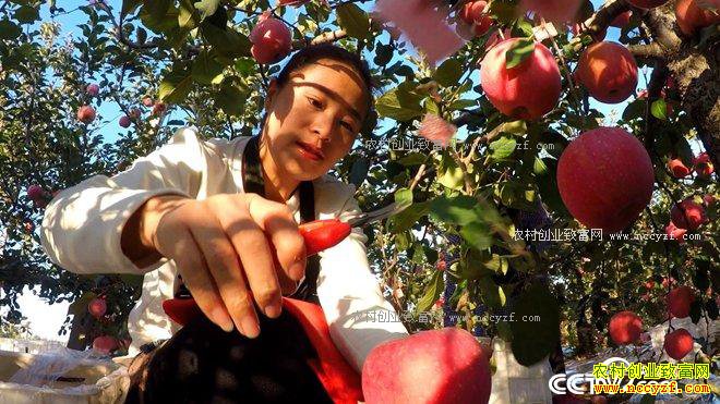 �¸�����ɽ�������Ľ��÷��紴ҵ��ƻ����ƻ������2500�������