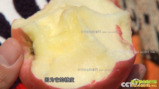 �Ķ���û�����ɽ ����2500�������