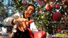 [�¸���]ɽ�������Ľ��ô�ҵ��ƻ������2500��