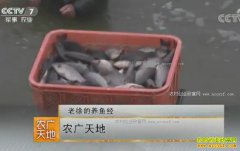 [ũ�����]�����γ������ɵ������¸���