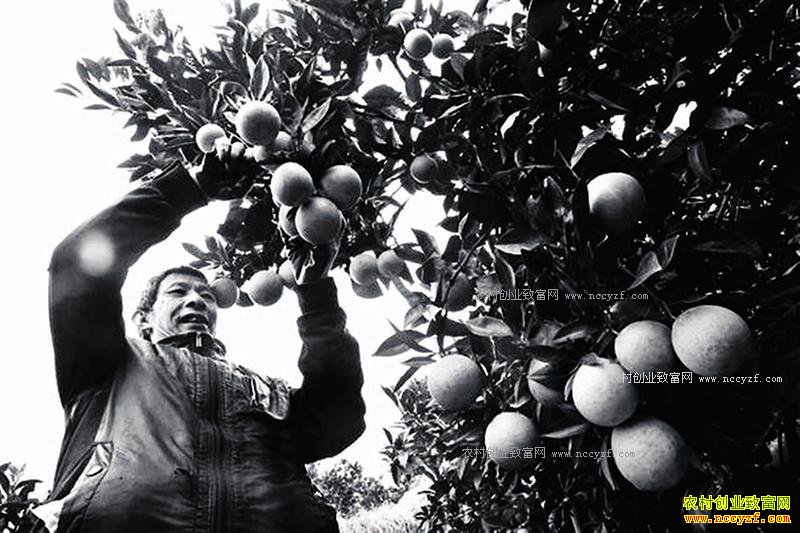 ��������������΢�Ű︸����������·��