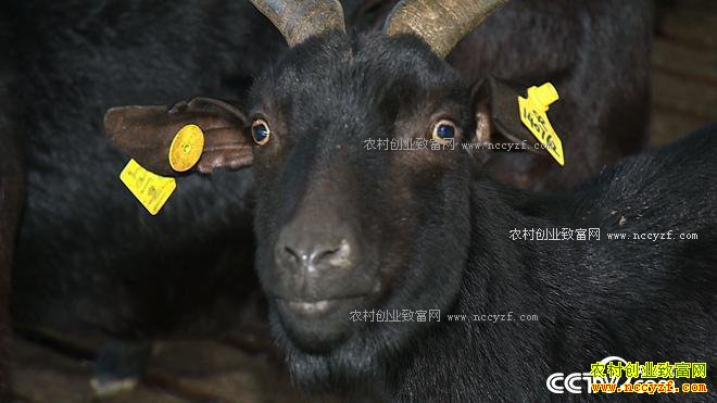 [�¸���]����������������ֳ��ɽ������700��Ԫ