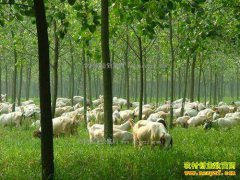 ����������ά���������������̬���¸�����