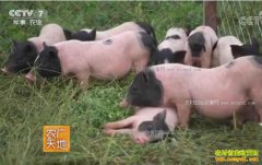 ũ����أ��ӱ���ɽ����ϼ��������ֳ�¸���