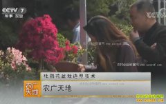 [ũ�����]�ž黨�������ͼ�����Ƶ