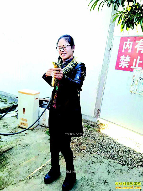 �Ĵ��α��ء�Ů������������������¸���