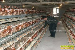 ȥ�꼦���������ֺ��� 2018�군����ֳ�������Ӧ��