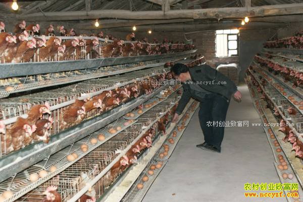 ȥ�꼦���������ֺ��� 2018�군����ֳ�������Ӧ��