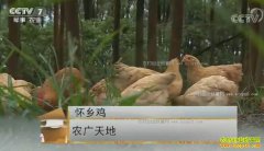 [ũ�����]�㶫���˻��缦��ֳ������Ƶ