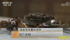 [ũ�����]�����ߺ����������պ�ƽ���з����ǧ��