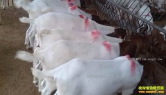 �㽭���δ�ѧ����������������145��Ԫ