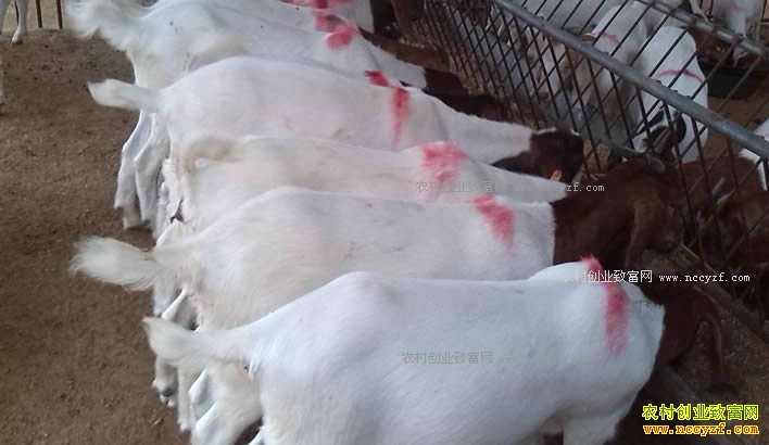 �㽭���δ�ѧ����������������145��Ԫ