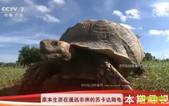 [�Ƽ�Է]������ˮ������� �Գ��� ������ֳ½��