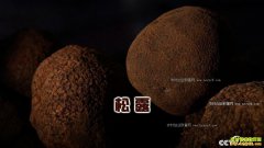 [�¸���]������ʤ�ط���������¶��ǧ��Ƹ�