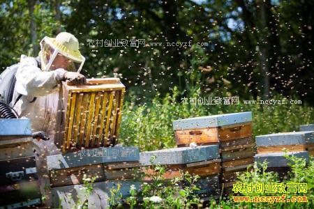 ��������ǰ��������2018����Ʒ�г��������