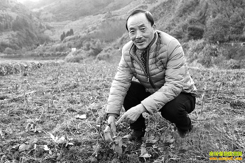 �㽭�������۱���ֲ��ҩ�Ĵ�ҵ�¸�