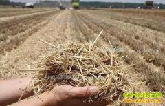 2018��ոѲ��������߼�����ոѲ����ķ����͵���