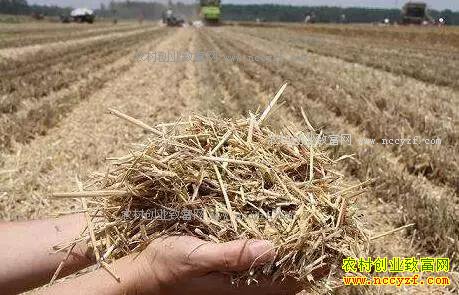 2018��ոѲ����������ˣ����������ö��٣�