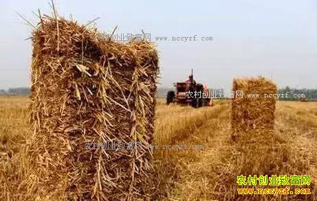 2018��ոѲ����������ˣ����������ö��٣�