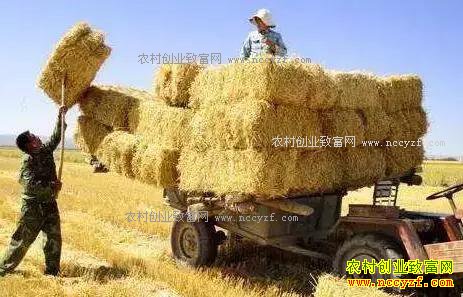 2018��ոѲ����������ˣ����������ö��٣�