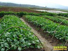 �Ĵ�������ˮ�壺�߲����� ������Ƹ�