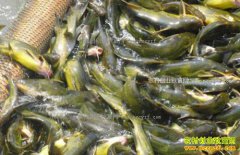 �㽭�����⽨����ֳ�����ÿ����ȱ��˵Ĺ�2Ԫ