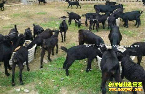 �����߽���׬Ǯ�𣿸߽����г�Ǳ������ֳǰ����