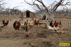 ����ᶼ�����ݽ���ʽ����ÿ�¶��м�����