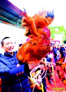 �Ĵ������컪��������ѡ����������ֳ������ֵ2100��Ԫ