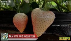 [�Ƽ�Է]���ź��� ������Ѵ����ݮ�ֳ��»���