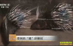 [ũ�����]�㶫����¬������ֳ������׬Ǯ