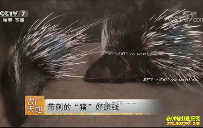 [ũ�����]�㶫����¬������ֳ������׬Ǯ