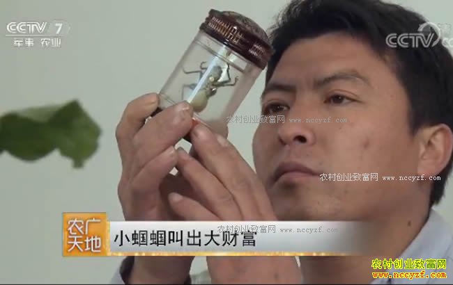 [ũ�����]�ӱ����ش���ξ������г���Ƹ�