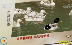 [�¸���]����׬ѼǮ ������ˮС���ɿɳ�������