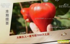 [�¸���]������ԣ����ֲ������׬ǧ��Ƹ�