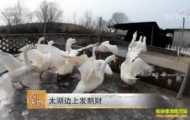 [ũ�����]��������½����̫��������̫���췢���