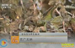 [ũ�����]������������ΰ��������Ұ�����༼����Ƶ