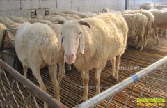 ������ֳСβ����Сβ�����ļ���������