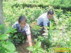 �Ĵ�ͨ����ɽ�������λ�������4000��Ԫ