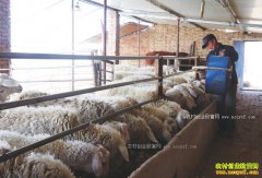 ������������������ƶ�����¸�·