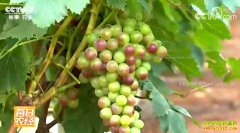 [ÿ��ũ��]�������ԣ������ط������Ѹ�׬Ǯ