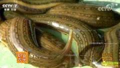 [ũ�����]ɽ����̨��־�ɣ���źˮ����������Ч���