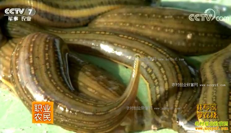 [ũ�����]��źˮ���������������� 20180314